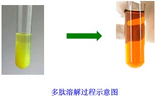 難溶肽純化技術1