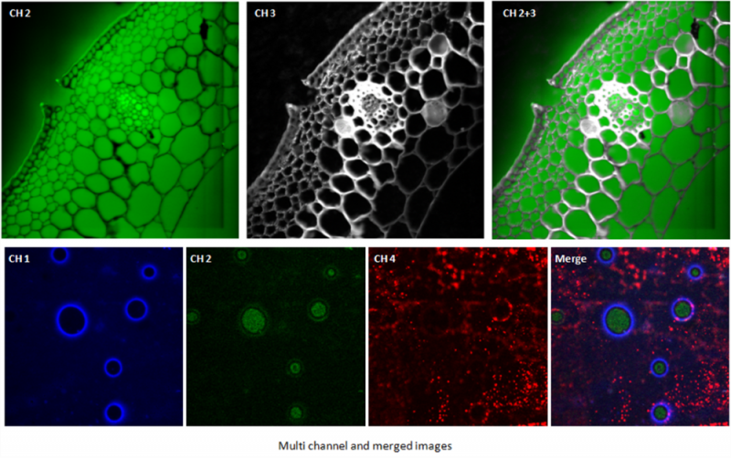 應用領域 1 JPEG 1000